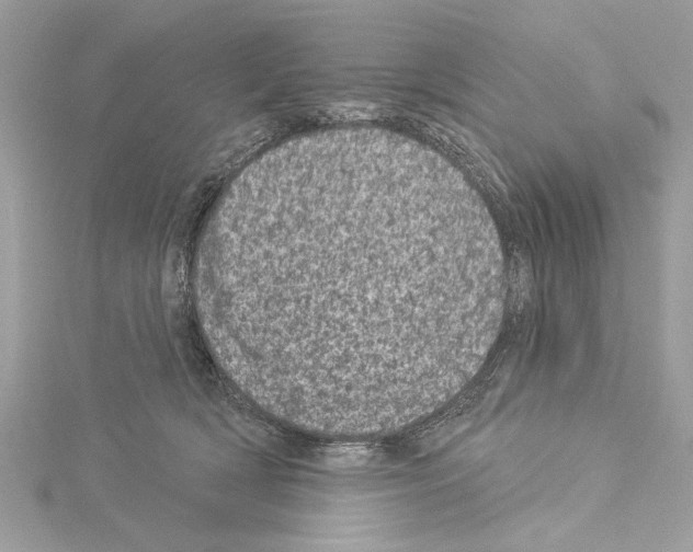 X0000114490418200911301110