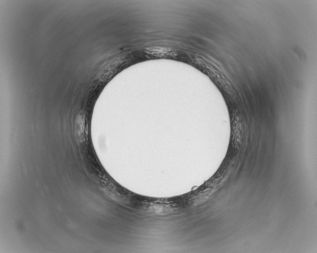 X0000114490420200911301110