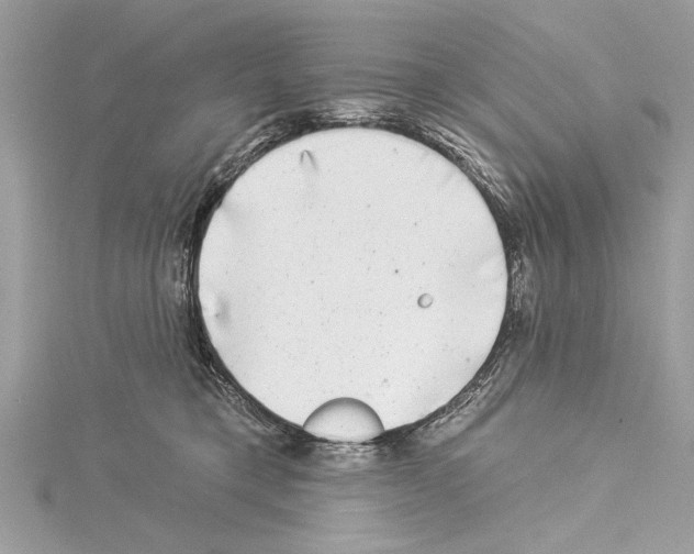 X0000114490421200911301110