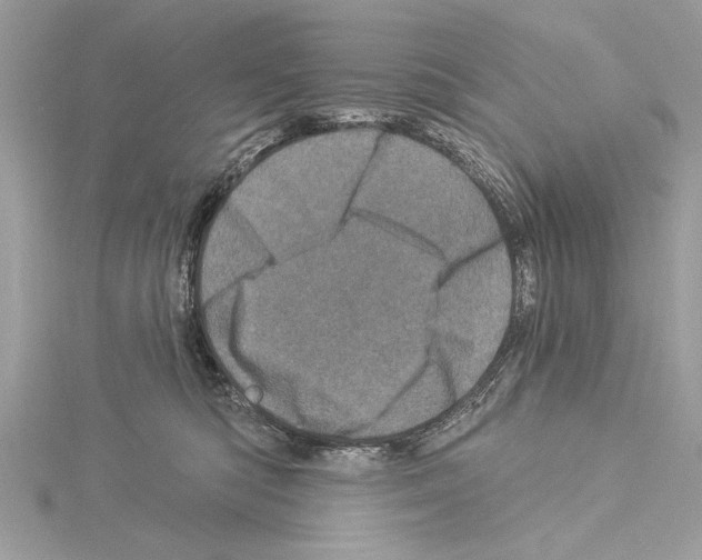 X0000114490422200911301110