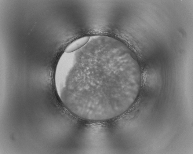 X0000114490423200911301110