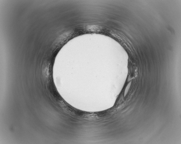 X0000114490424200911301110