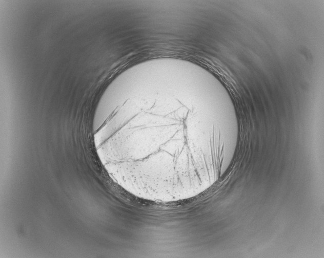 X0000114490425200911301110