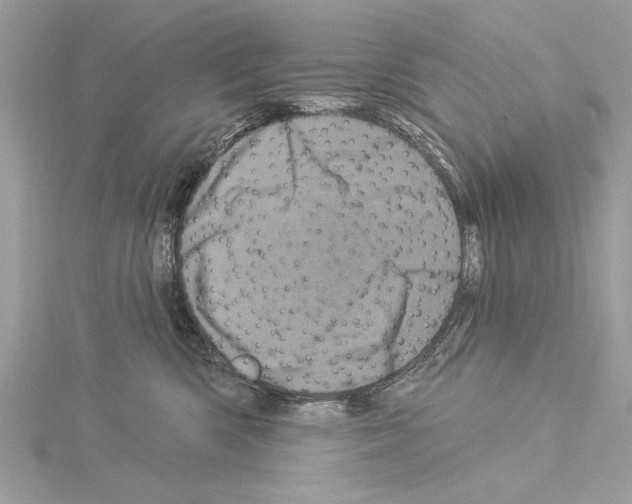 X0000114490426200911301110