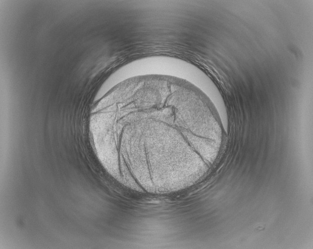 X0000114490427200911301110