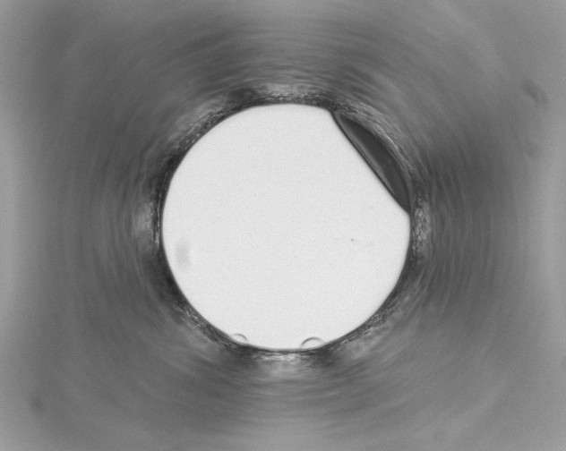 X0000114490428200911301110