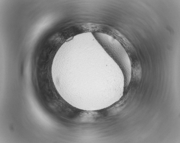 X0000114490429200911301110