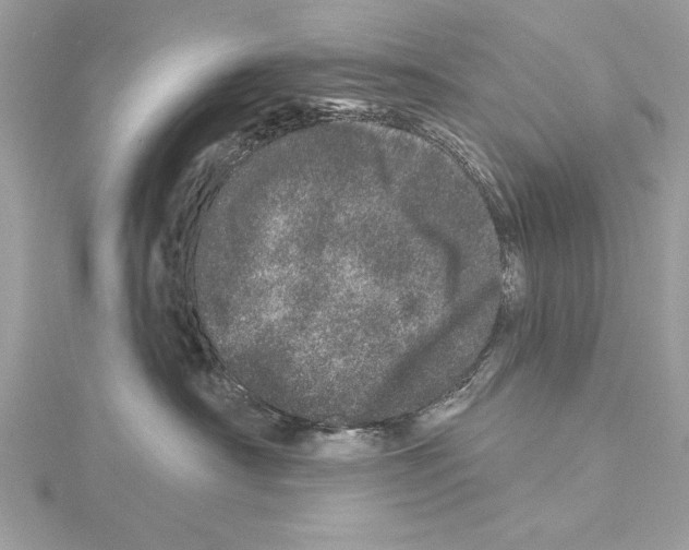 X0000114490430200911301110