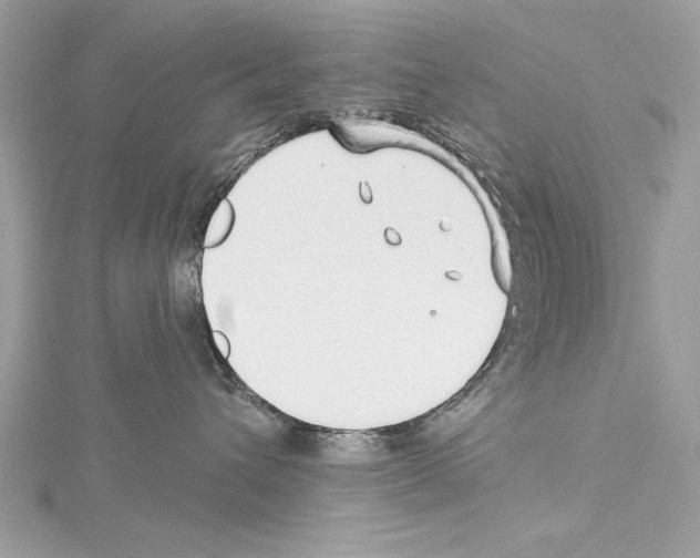 X0000114490432200911301110