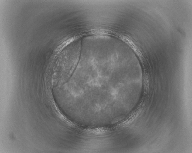 X0000114490433200911301109