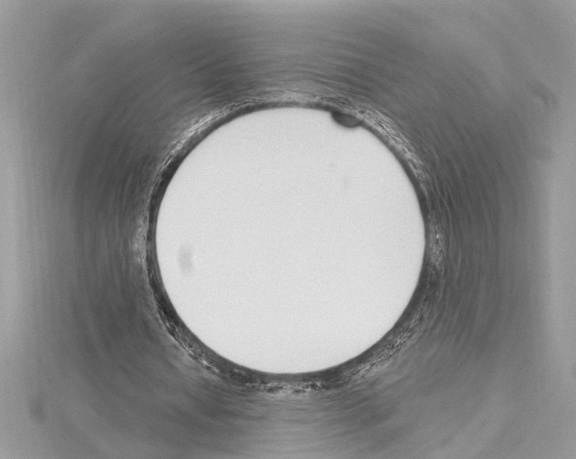 X0000114490434200911301109