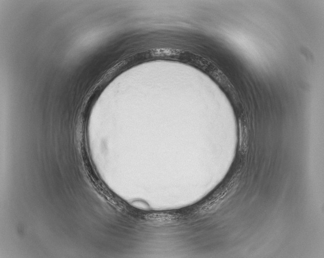 X0000114490435200911301109