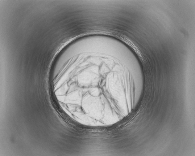 X0000114490436200911301109