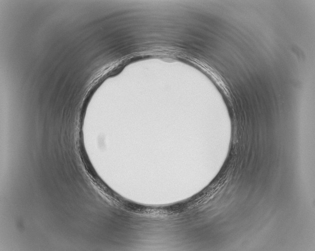 X0000114490437200911301109