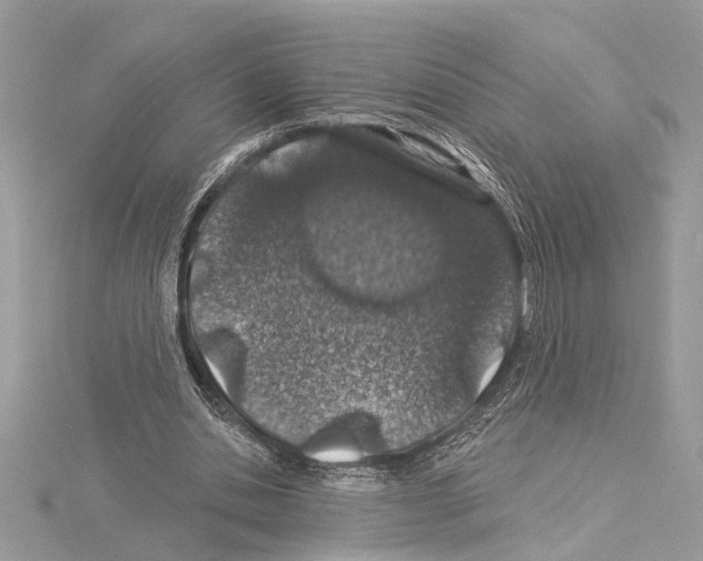 X0000114490438200911301109