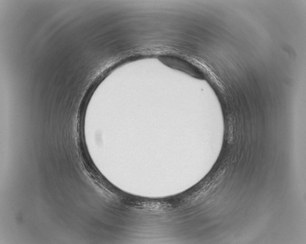 X0000114490439200911301109