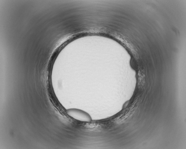 X0000114490440200911301109