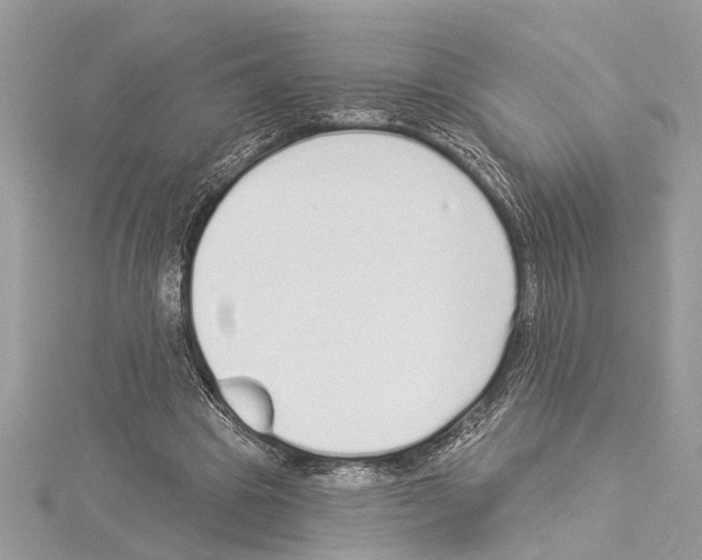 X0000114490441200911301109