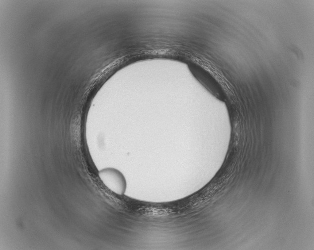 X0000114490442200911301109