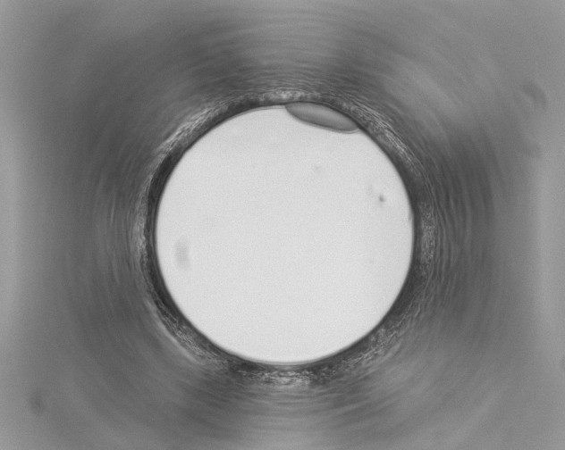 X0000114490443200911301109