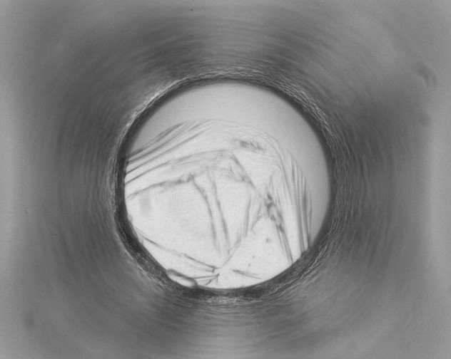 X0000114490444200911301109