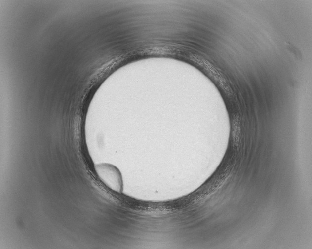 X0000114490445200911301109