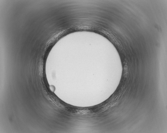 X0000114490446200911301109