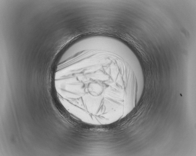 X0000114490448200911301109