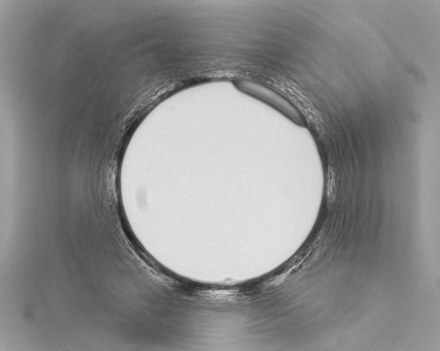 X0000114490449200911301109