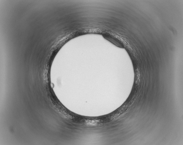 X0000114490450200911301109