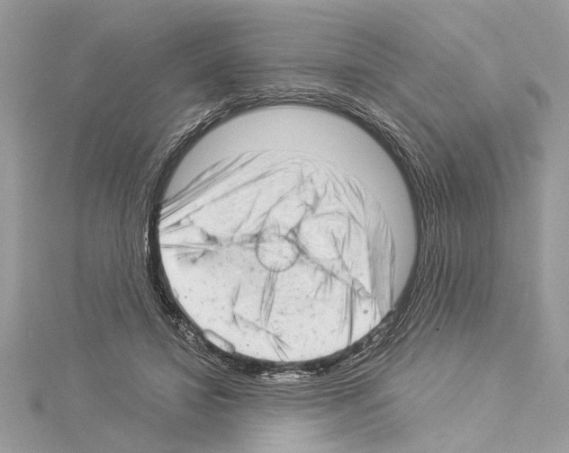 X0000114490452200911301109