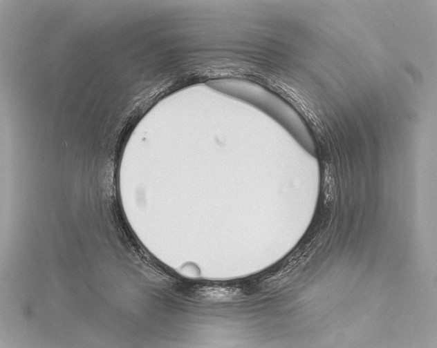 X0000114490453200911301109