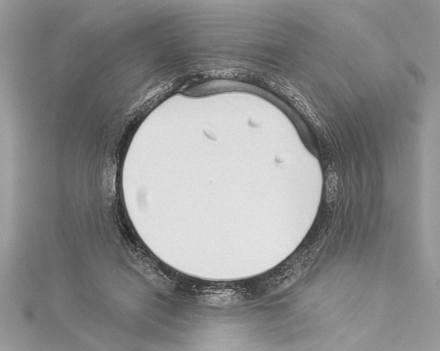 X0000114490454200911301109