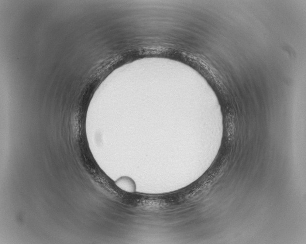 X0000114490455200911301109