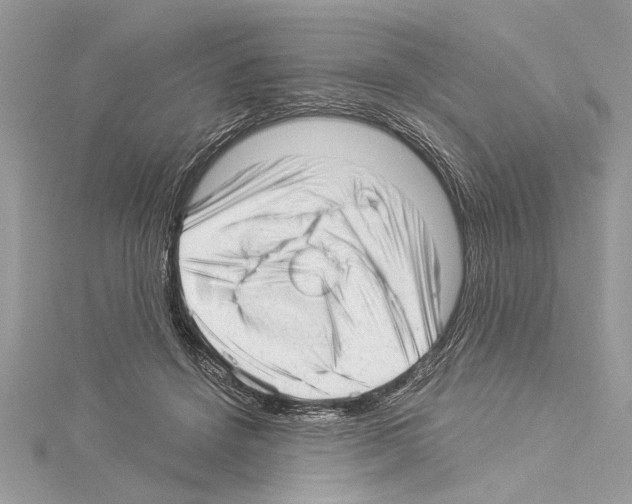 X0000114490456200911301109