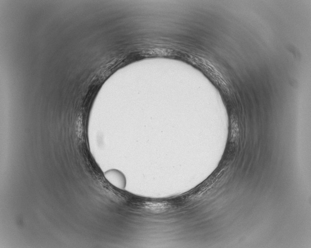 X0000114490457200911301109