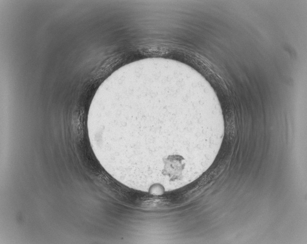 X0000114490460200911301109