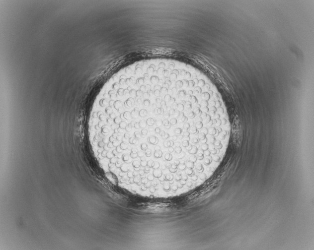 X0000114490462200911301109