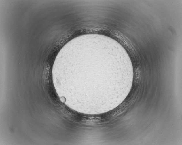 X0000114490463200911301109