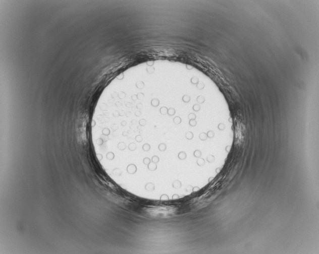 X0000114490464200911301109