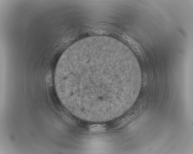 X0000114490465200911301109