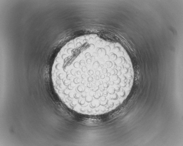 X0000114490466200911301109