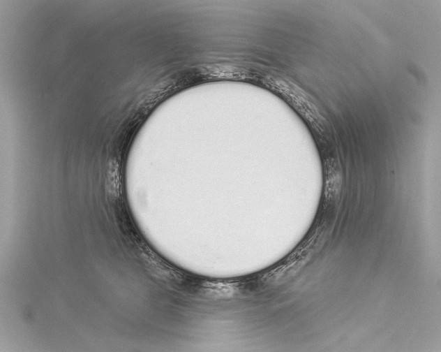 X0000114490469200911301109