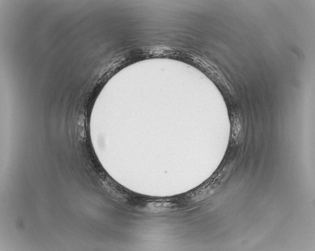 X0000114490470200911301109