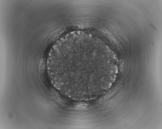 X0000114490471200911301109