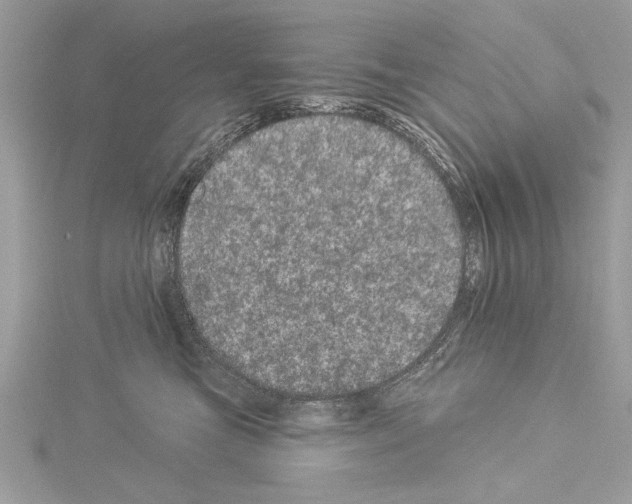 X0000114490473200911301109