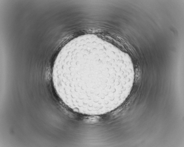 X0000114490474200911301109