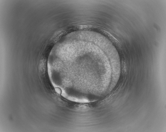 X0000114490475200911301110