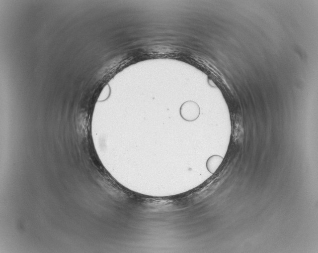 X0000114490476200911301110