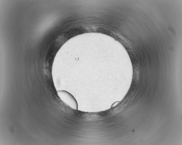 X0000114490477200911301110